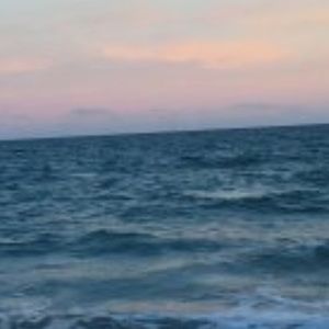 Meet your Posher, Lydia